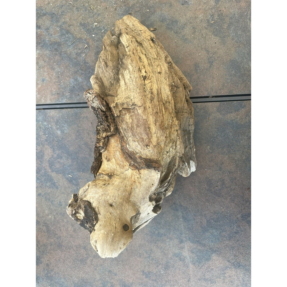 Natural Driftwood for Plants Terrarium Taxidermy Art Projects
